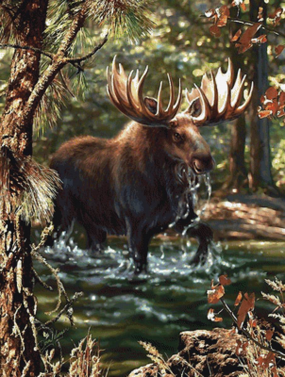 лось - мир животных - предпросмотр