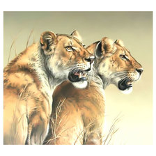 Схема вышивки «Львицы.»