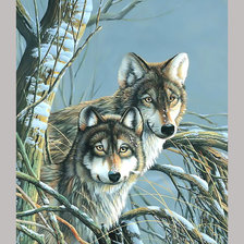 Схема вышивки «Волки. Пара.»