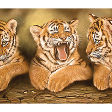 Схема вышивки «Серия "Хищники". Тигрята»