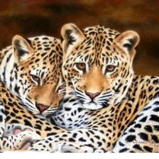 Схема вышивки «Леопарды»