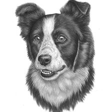 Схема вышивки «рисунок»