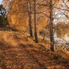 Схема вышивки «ПЕЙЗАЖ»