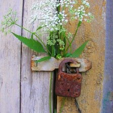 Схема вышивки «СЮЖЕТ»