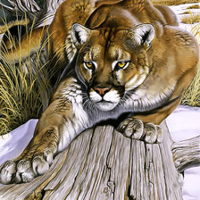 Схема вышивки «Пума.»