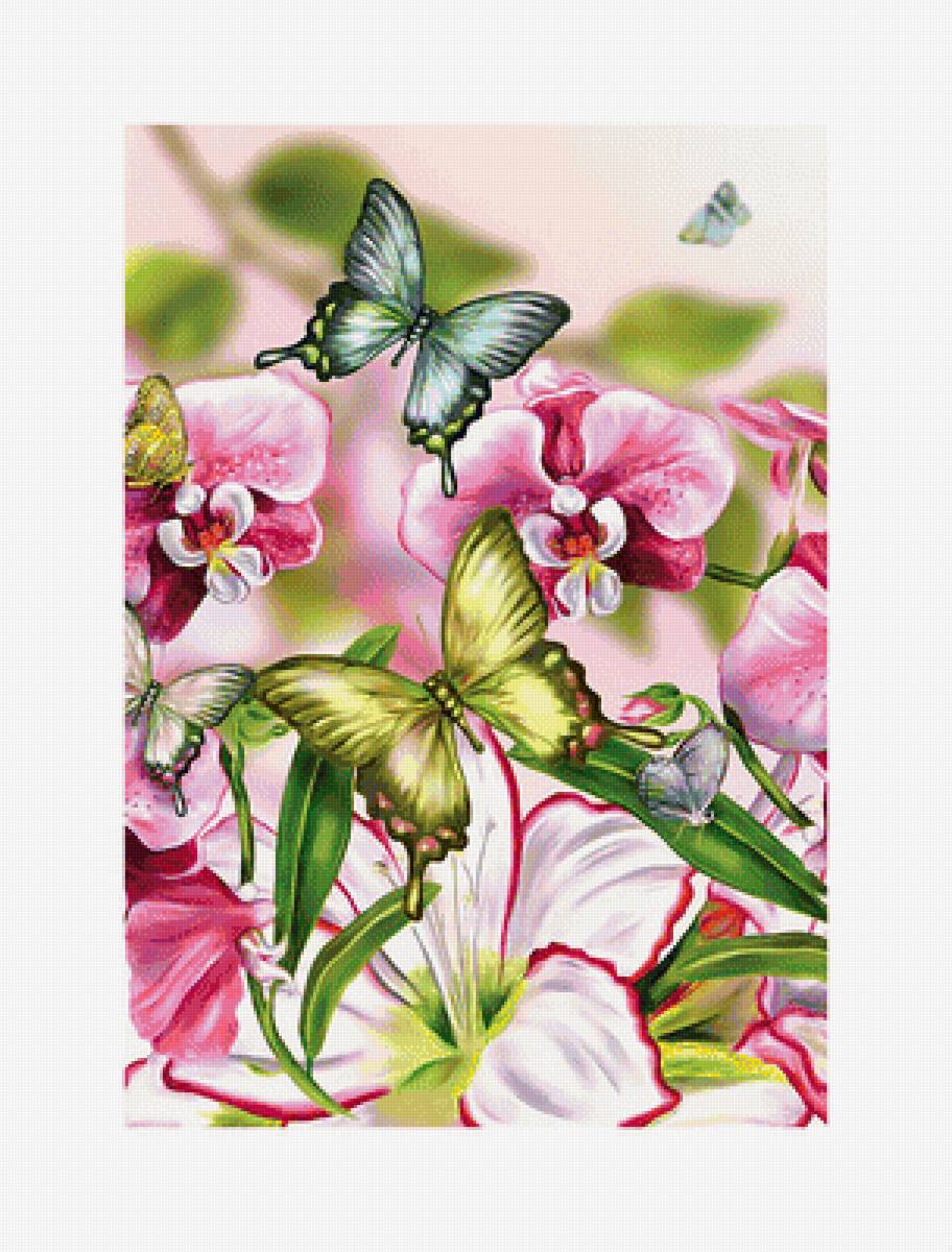 Цветы и бабочки. - лилии, бабочки., орхидеи, цветы - предпросмотр