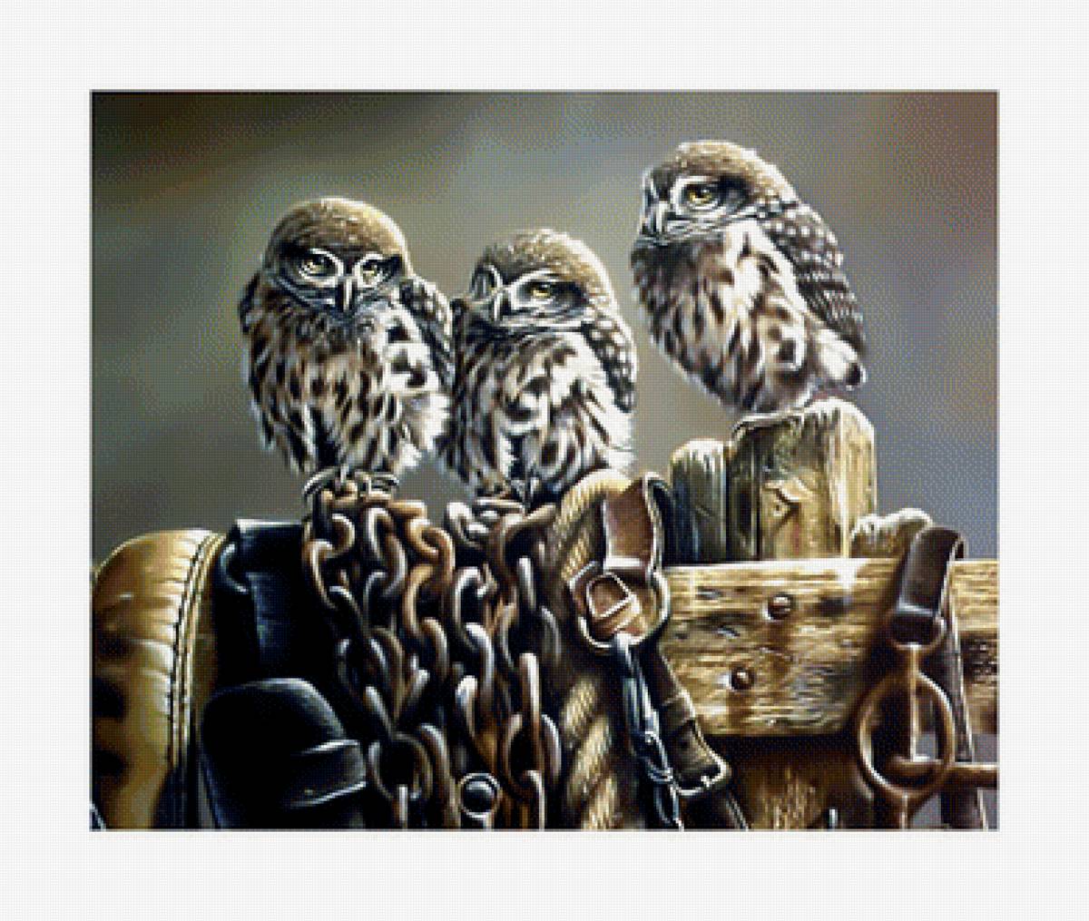 Совы. - совы, хищник., птицы - предпросмотр