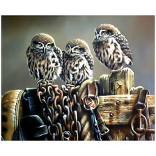 Схема вышивки «Совы.»