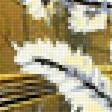 Предпросмотр схемы вышивки «Серия "Птицы"» (№1959062)