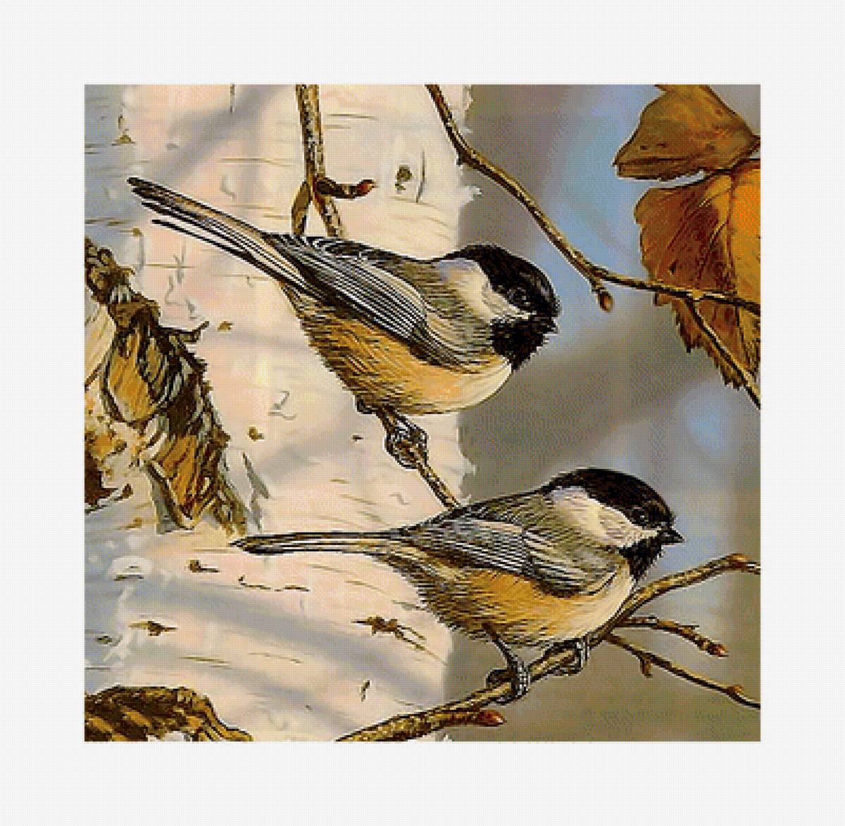 Серия "Птицы" - фауна, птицы - предпросмотр