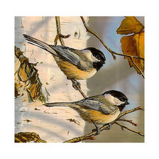 Схема вышивки «Серия "Птицы"»