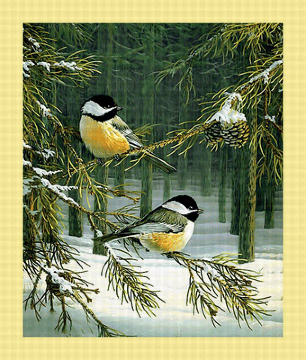 Серия "Птицы" - фауна, птицы - предпросмотр