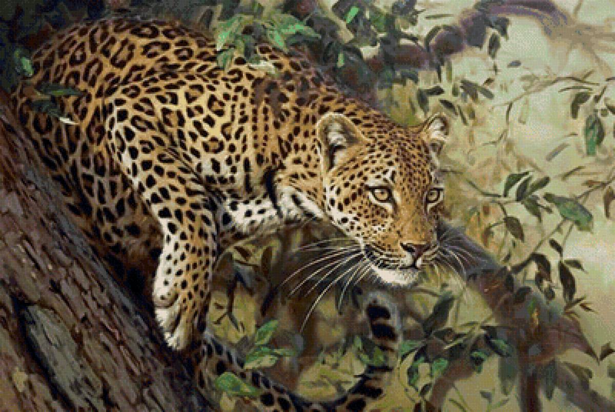 дикие - хищник.дикая кошка.леопард. - предпросмотр