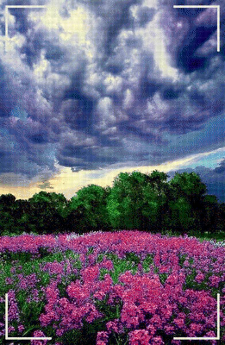 539 - предпросмотр