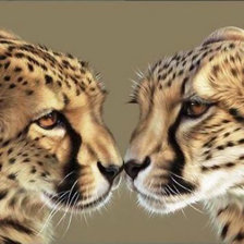 Схема вышивки «№1959499»