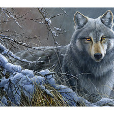 Схема вышивки «Серия "Хищники". Волк»