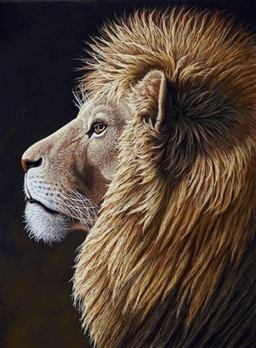 №1959511 - животные, хищники - предпросмотр