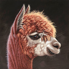 Схема вышивки «№1959521»