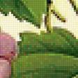 Предпросмотр схемы вышивки «Серия "Виноград"» (№1959527)
