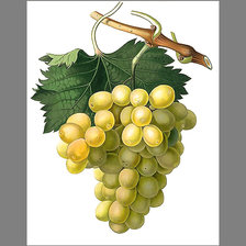 Схема вышивки «Серия "Виноград"»