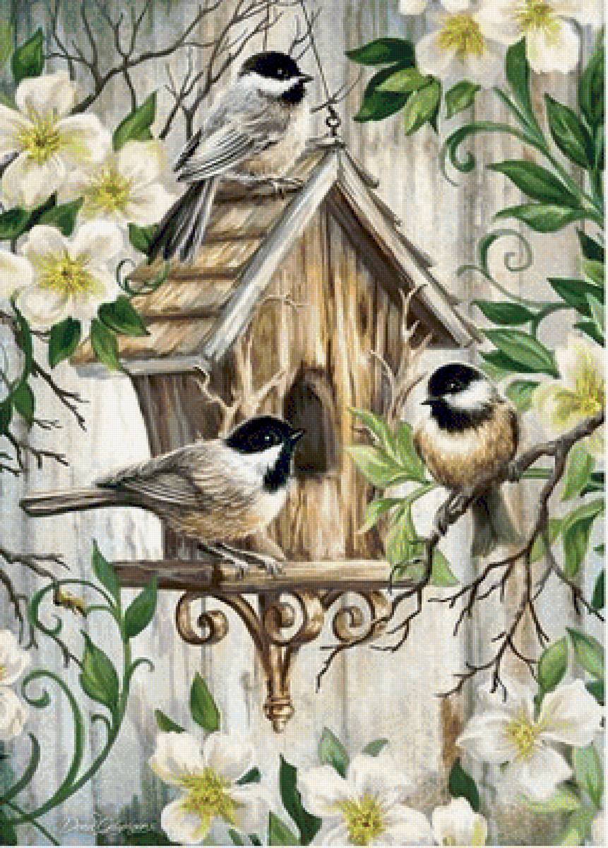 vtáci,búdka - предпросмотр