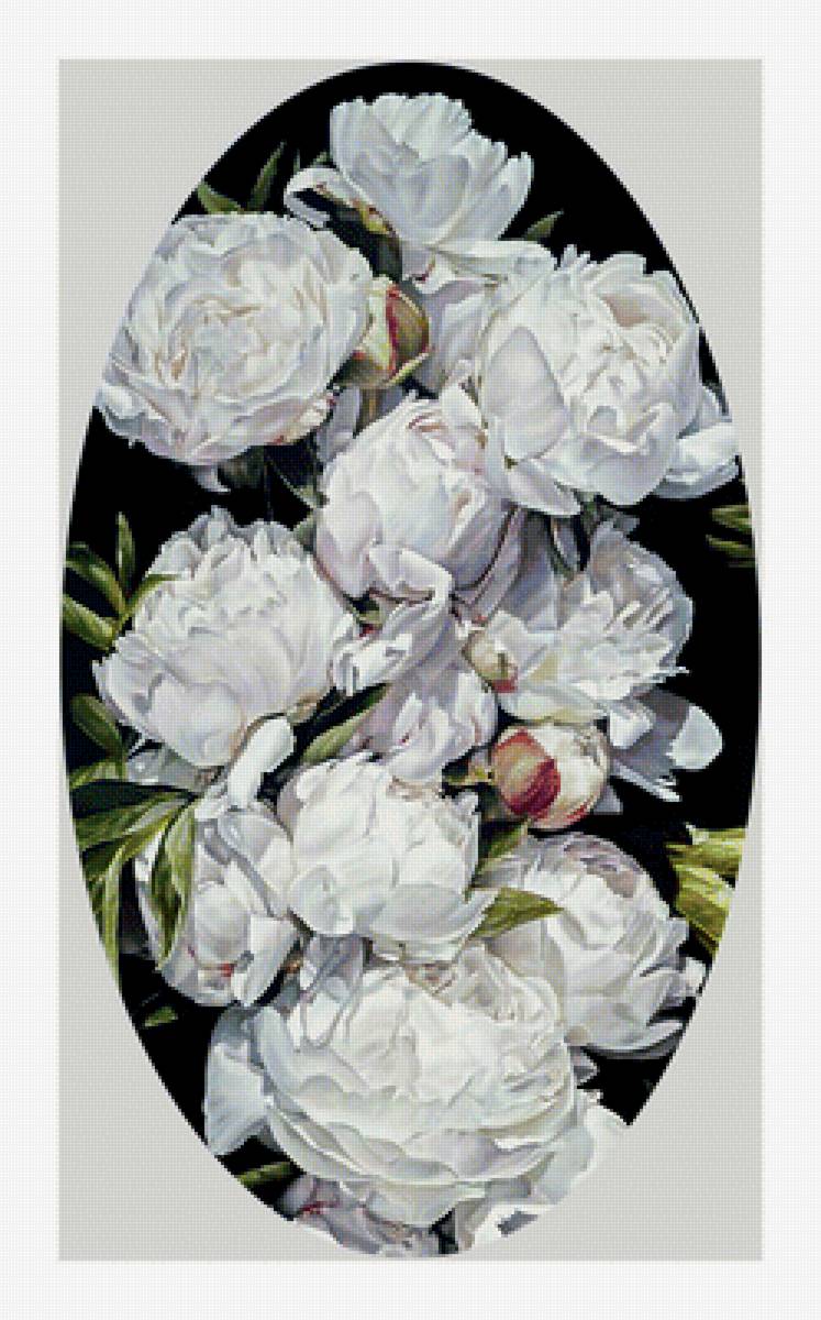 Белые пионы. - цветы, картина., живопись, пионы, белые, букет - предпросмотр