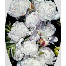 Схема вышивки «Белые пионы.»