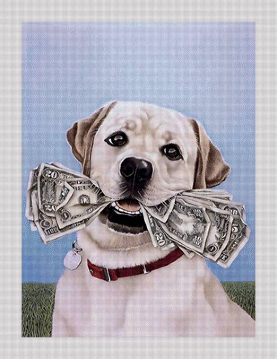 №1959978 - животные, собаки - предпросмотр