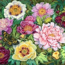 Схема вышивки «pivonie»