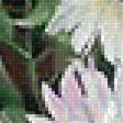 Предпросмотр схемы вышивки «kvety» (№1960226)