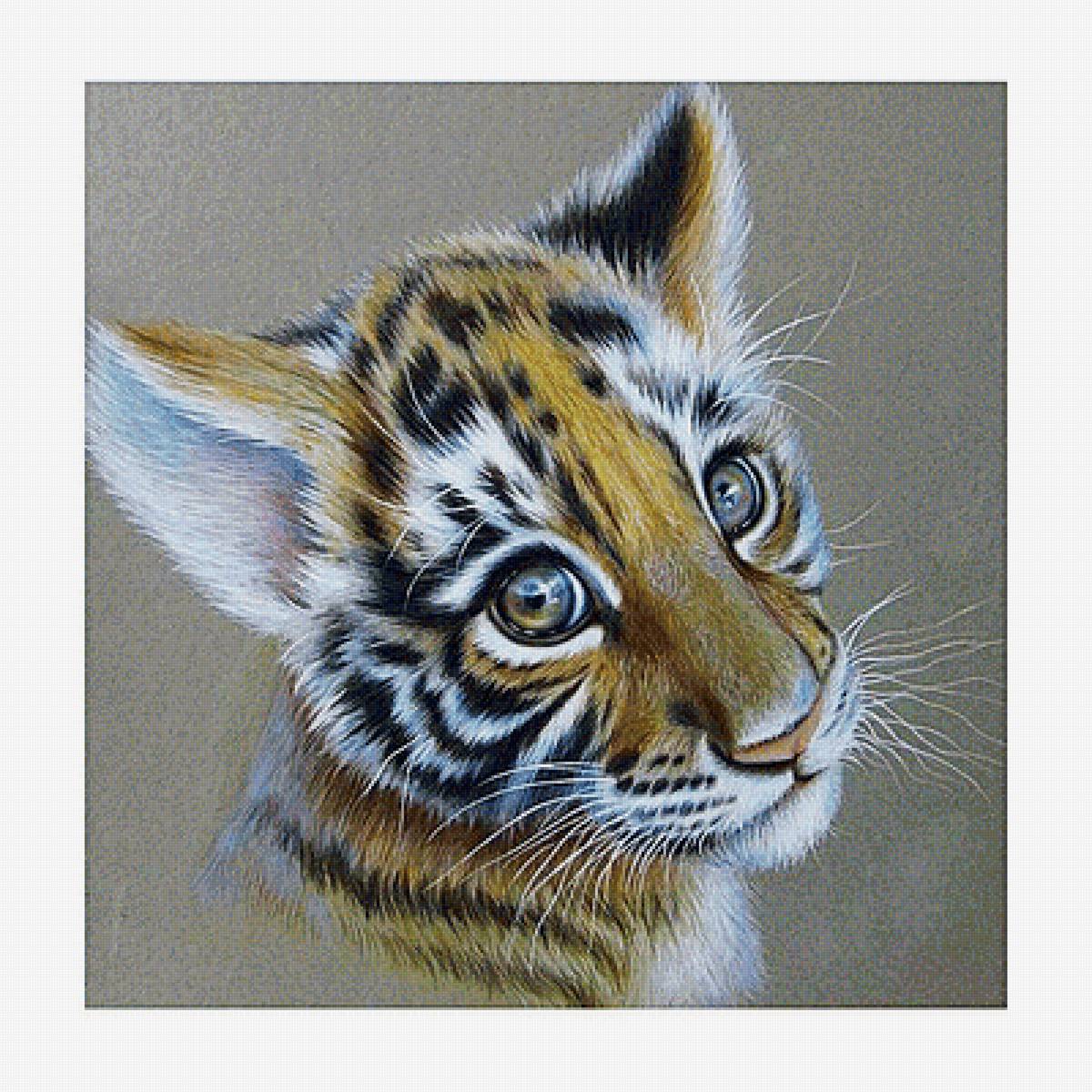 Тигренок - животные, звери - предпросмотр