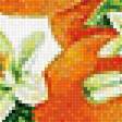 Предпросмотр схемы вышивки «Мандарины» (№1960293)