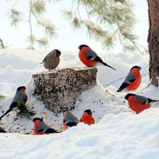 Схема вышивки «№1960315»