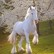 Схема вышивки «Лошади»