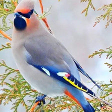 Схема вышивки «№1960340»