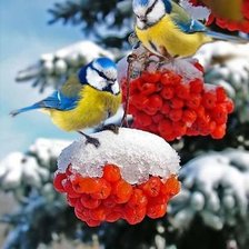 Схема вышивки «№1960341»