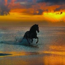 Схема вышивки «Лошадь»