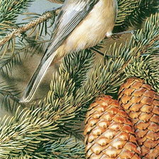 Схема вышивки «Птички на ветке»