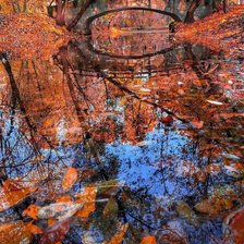 Схема вышивки «лесной сюжет»