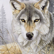 Схема вышивки «Волк.»