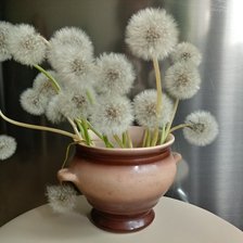 Схема вышивки «ОДУВАНЧИКИ»