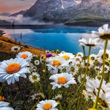 Схема вышивки «ПЕЙЗАЖ»