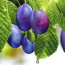 Схема вышивки «№1960666»