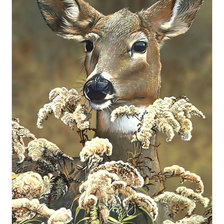 Схема вышивки «Олень.»