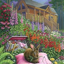 Домашний кролик