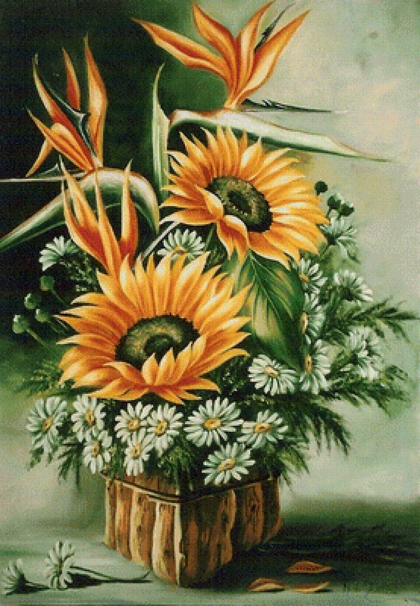 ромашки - предпросмотр