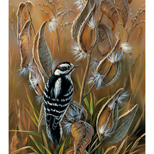 Схема вышивки «Птичка.»