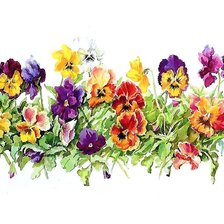 Схема вышивки «акварель»