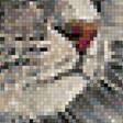 Предпросмотр схемы вышивки «кот и пчела» (№1961116)