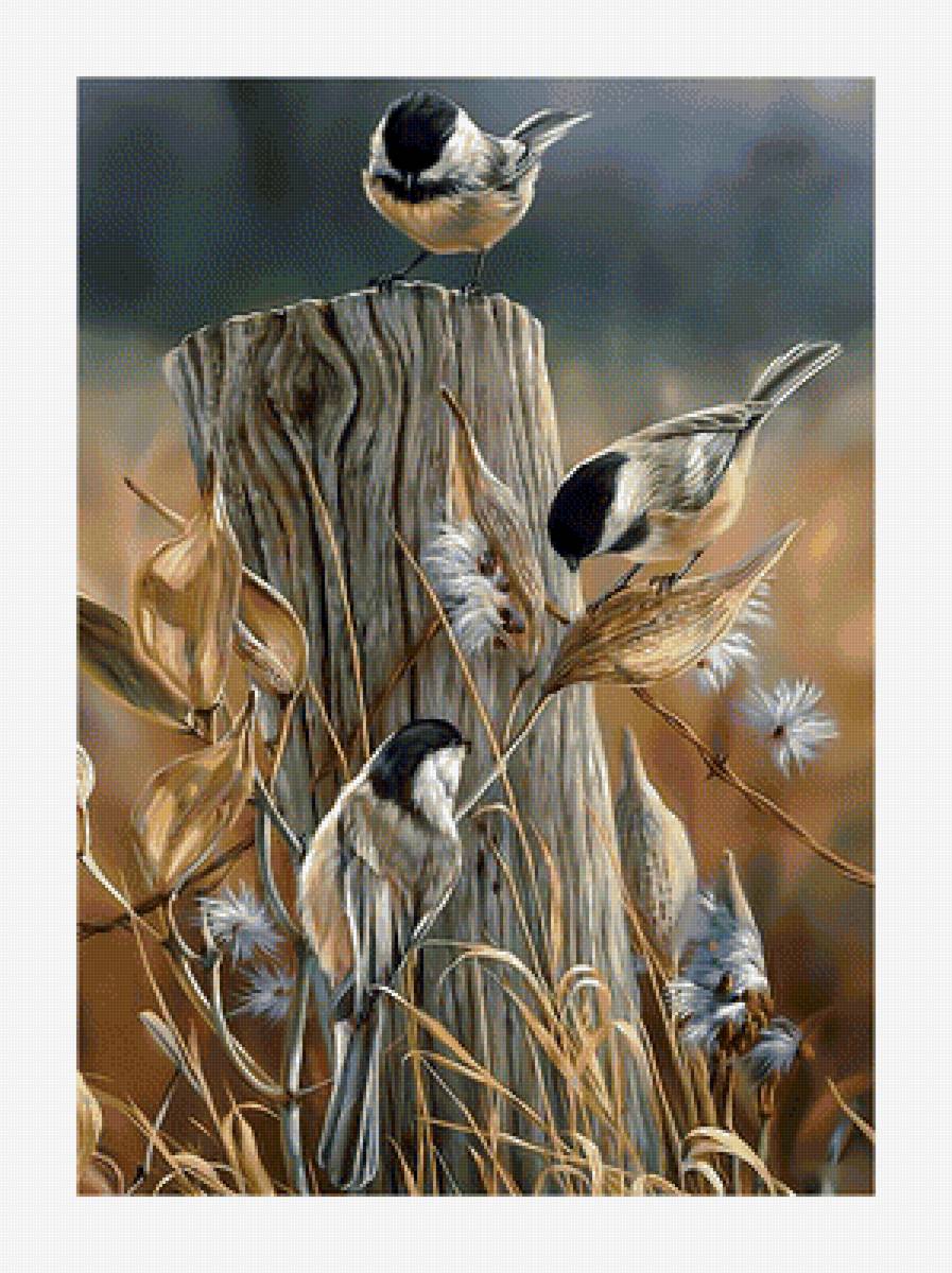 Синицы. - синицы, птицы, осень. - предпросмотр